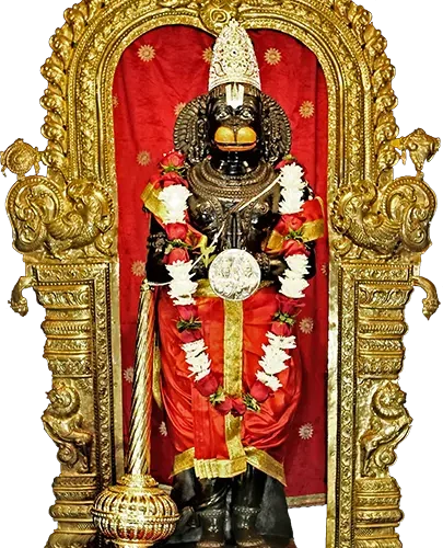 Annual Hanuman Abhishekam Seva (12 Abhishekams)